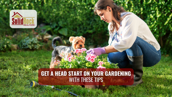 Having a lush summer garden usually relies on the right planning. Here's how to prep your garden early.